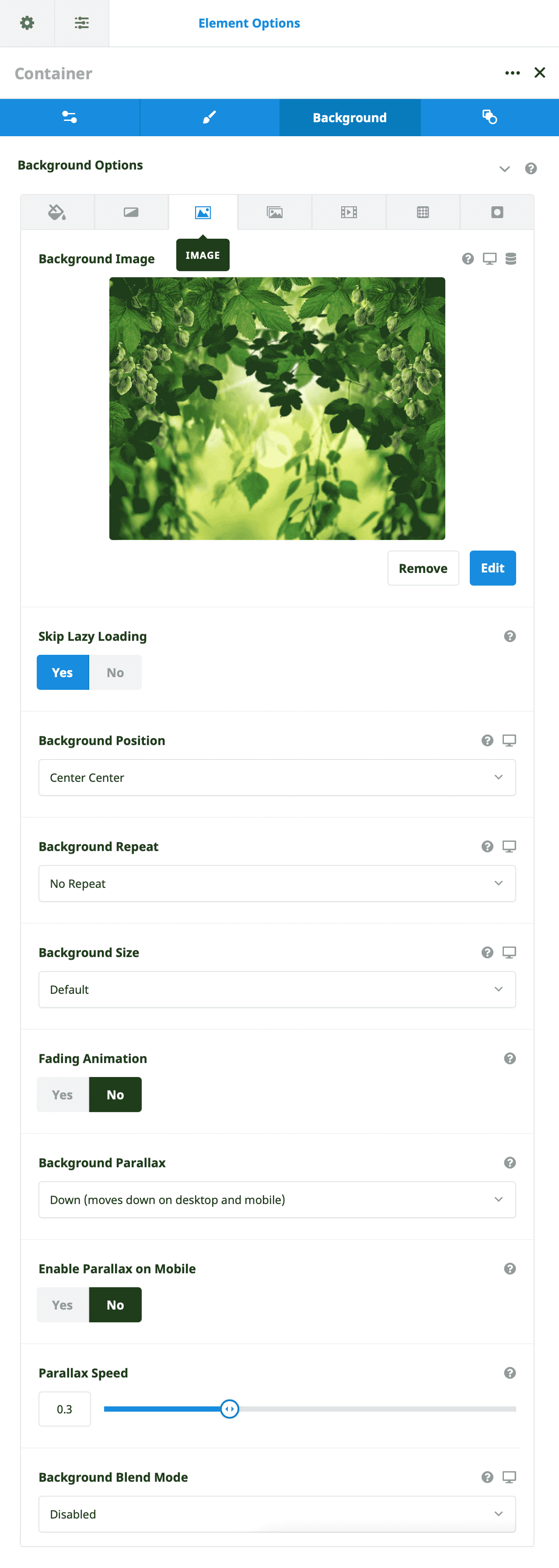 Container Background Image Options Container Background Image Options